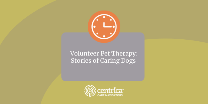 Volunteer Pet Therapy: Stories of caring dogs