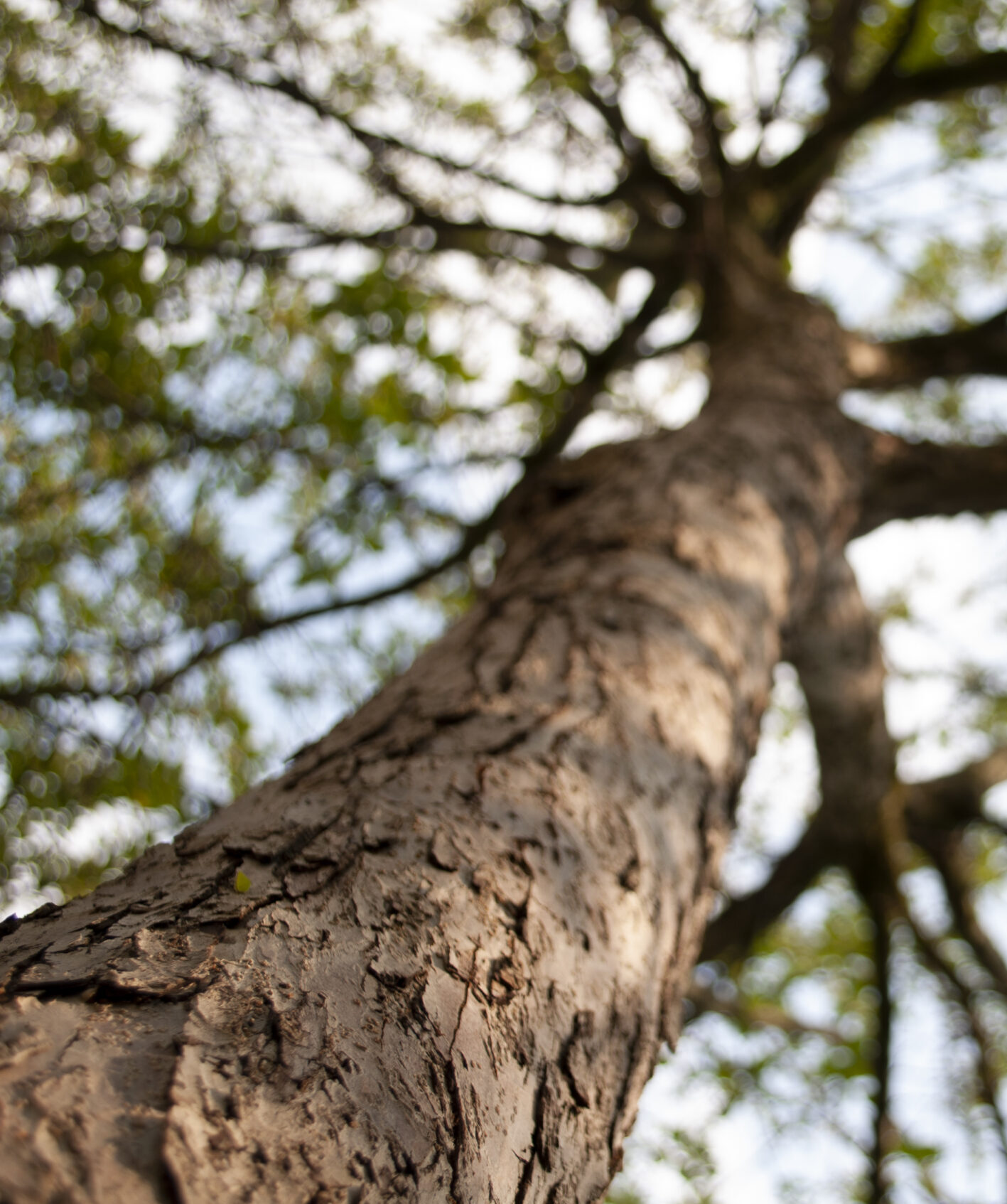 Hospice Words: A Dictionary of Terms