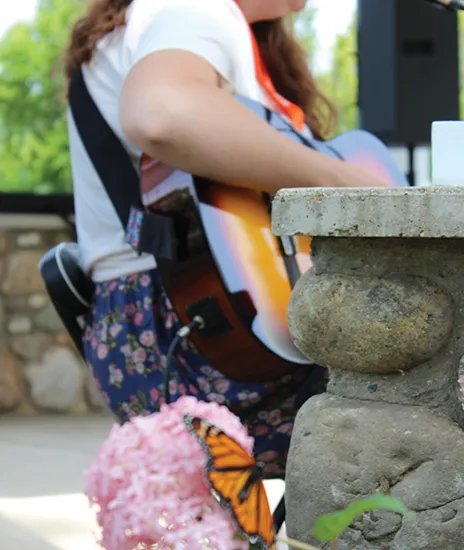 close up of butterfly with musician in the background